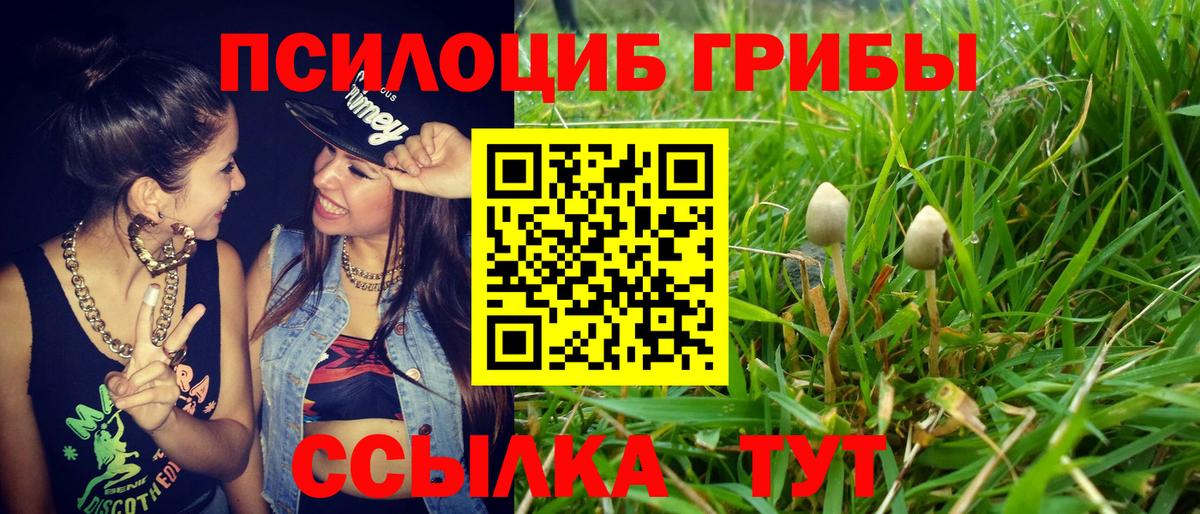 Псилоцибиновые грибы прущие грибы  Вход с VPN  Ревда  закладка  Галлюциногенные грибы мицелий 